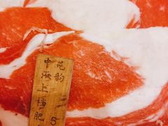 -中苑海韵