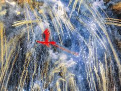 -茅山东方盐湖城景区