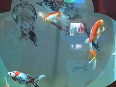 -北戴河圣蓝海洋公园