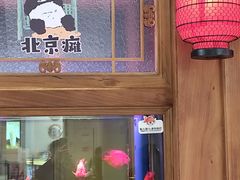 -小吊梨汤·北京菜·烤鸭(清河万象汇店)