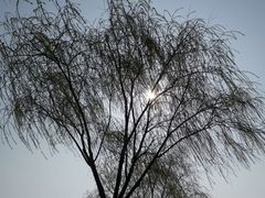 -迪士尼小镇