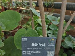 -国家植物园南园