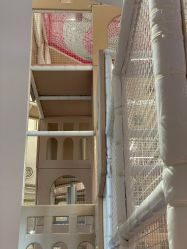 -超级奈尔宝SUPER NEOBIO(杭州星光店)