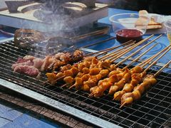 -南宁良凤江国家森林公园