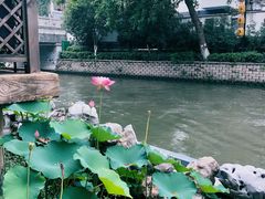 -少伯茶苑·围炉煮茶(夫子庙步行街店)