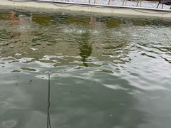 -DGE季风钓虾营地·团建·聚会