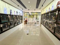 -翊宠yipet猫狗购宠庄园犬舍•猫舍