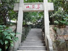 -小洲村