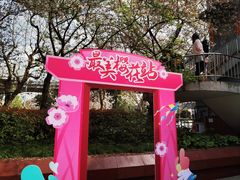 -南浦大桥长途旅游客运站