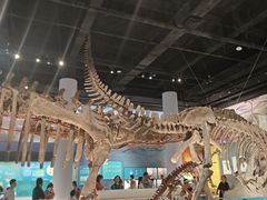 -国家自然博物馆