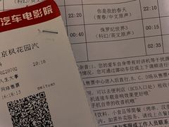 -枫花园汽车电影院(朝阳公园店)