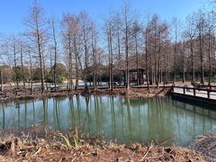 -梁鸿国家湿地公园