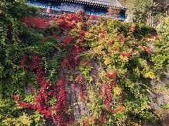 -天津盘山风景名胜区