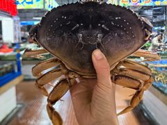 -万尾农贸市场