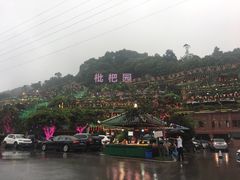-枇杷园食为鲜火锅(南山店)