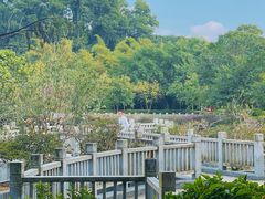 -大屏嶂森林公园