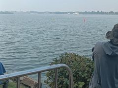 -丁香湖公园