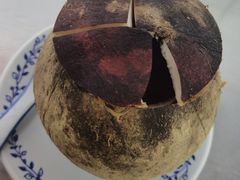 -達揚原味燉品(文明路店)