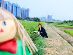 -光明小镇欢乐田园