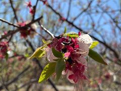 -永定河休闲森林公园