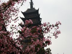 -常熟方塔园
