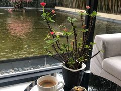 -锦江都城经典达华静安寺酒店·餐厅
