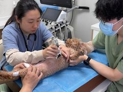 -达爱动物医院·犬猫分区·CT·复杂眼科(远洋山水分院)