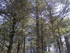 -峨眉山风景名胜区