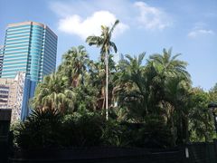 -九龙公园
