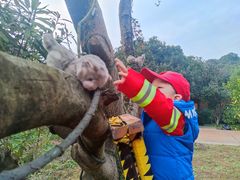 -杭州开元森泊度假乐园