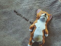 餐具摆设-VOYAGE COFFEE(北锣鼓巷店)