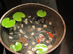 -曲水兰亭(北京四惠店)