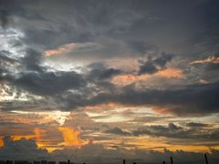 -红树林天天赶海