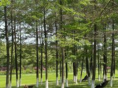 -宜兴龙背山森林公园