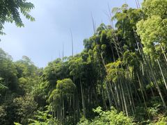 -东明山森林公园