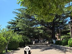 -烟台山景区