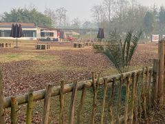 -白鹭湾湿地公园