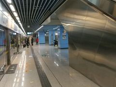 -大王庄(地铁站)