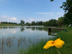 -金谷域澳洲庄园