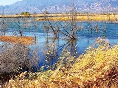 -野鸭湖国家湿地公园