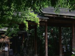 -昆明柏联SPA温泉