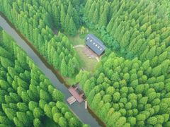 -黄海国家森林公园