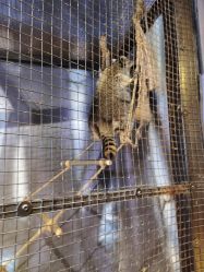 -酷嗒动物文化乐园(cutezoo西溪乐天城店)