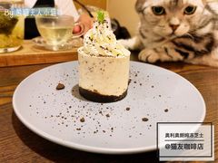 -猫友咖啡店(玉林西路店)