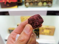 红莓松露-GODIVA(月星环球港店)
