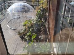 -昆山城市生态森林公园