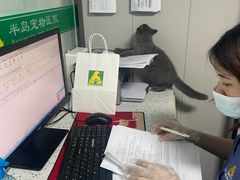 -半岛宠物医院24小时(科华中路店)