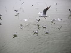 -蠡湖大桥公园