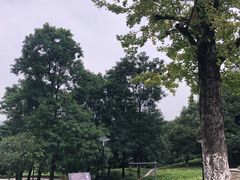 -重庆彩云湖湿地公园