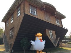 -金山农民画村-枫泾波兰倒置屋